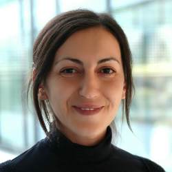 Photo of Ivana Hasa, Associate Professor of Electrochemical Materials, University of Warwick (WMG)