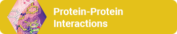 Protein Protein Interactions