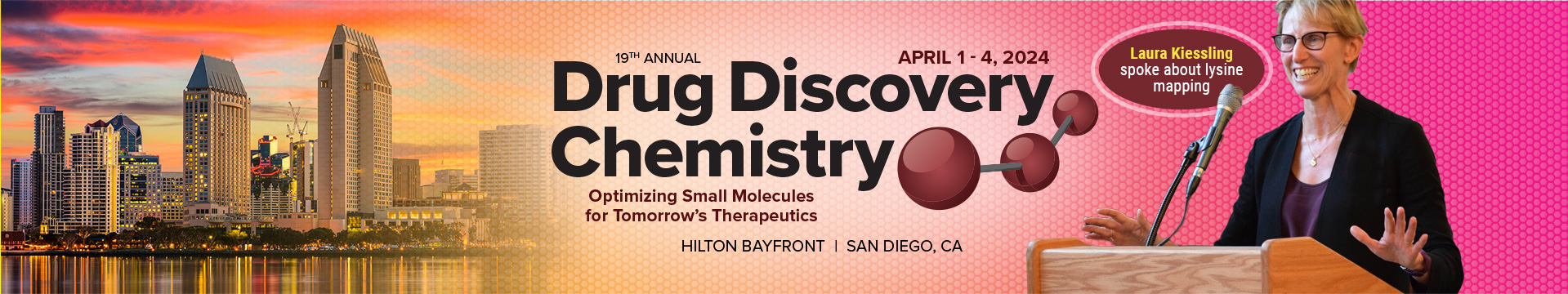 Drug Discovery Chemistry - 2024