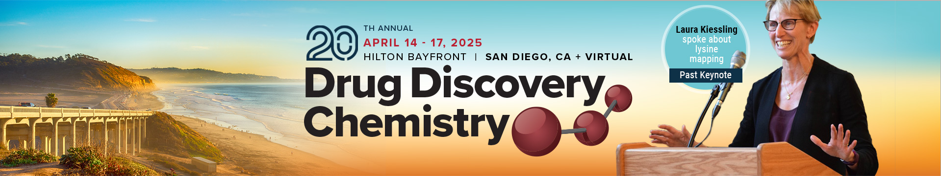 Drug Discovery Chemistry - 2025