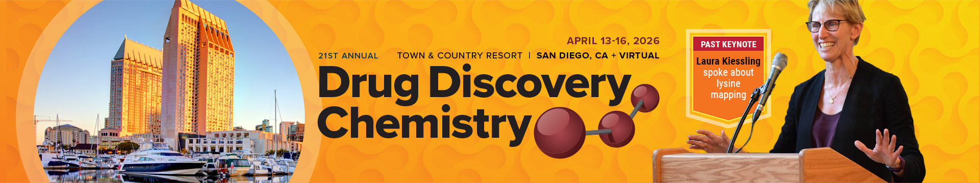 Drug Discovery Chemistry - 2026