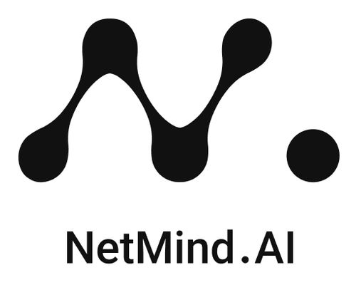 NetMind.AI